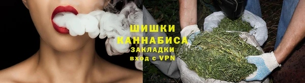 стаф Вяземский