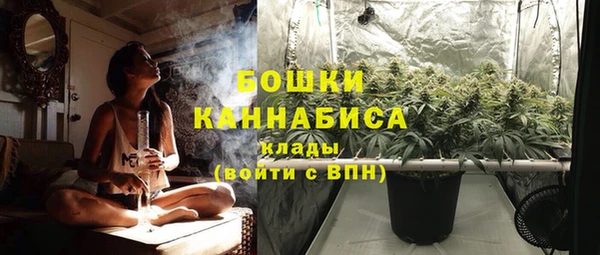 стаф Вяземский