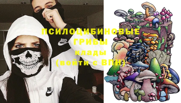 стаф Вяземский