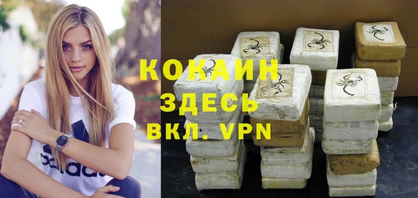 PSILOCYBIN Горнозаводск