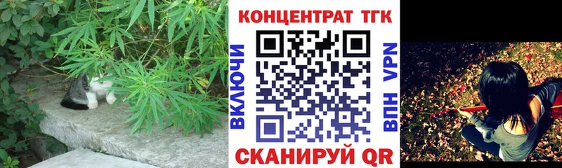 ТГК Wax  Армавир 