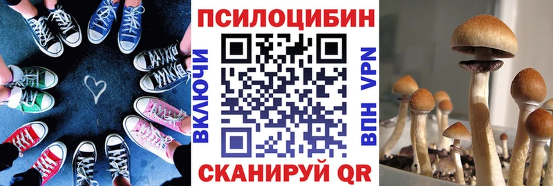 Галлюциногенные грибы Psilocybine cubensis  как найти закладки  Армавир 