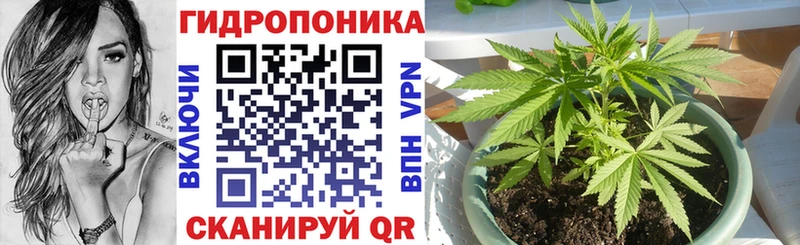 Канабис OG Kush  цена   Армавир 